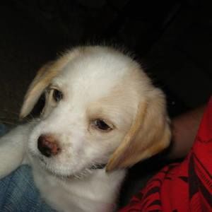 Meet your Posher, Wanda